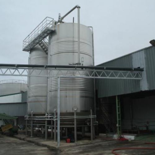 Cooperativa Oleovinícola en Las Labores2