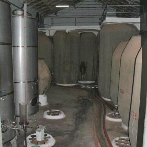 Cooperativa Oleovinícola en Las Labores7