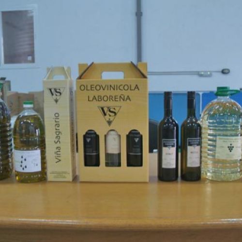 Cooperativa Oleovinícola en Las Labores6